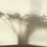 11123745_664590863644832_1346162113_n