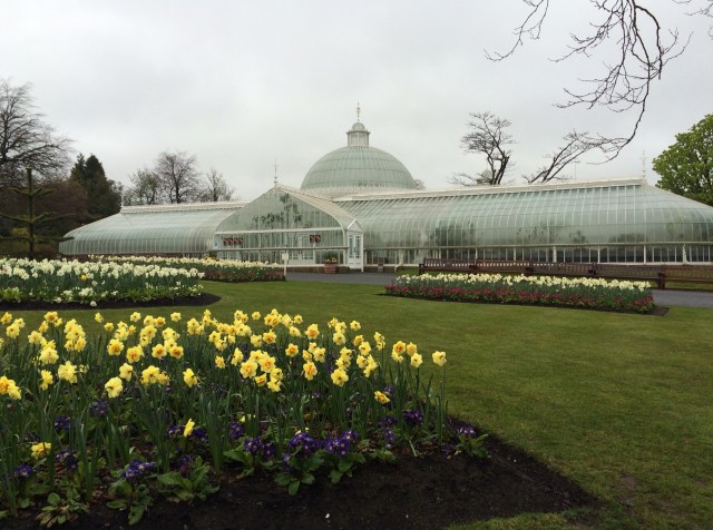 Glasgow Botanic Gardens